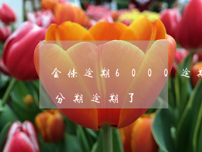 金条逾期6000逾期2年（金条12000分期逾期了）
