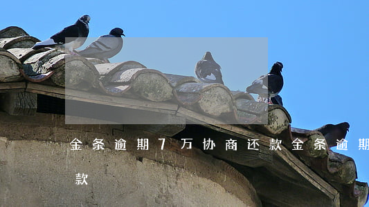 金条逾期7万协商还款(金条逾期一周要还全款)