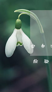 金条逾期一天会否影响贷款？知乎用户分享经验与建议