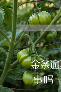 金条逾期一天会怎么样(金条逾期一个小时有事吗)