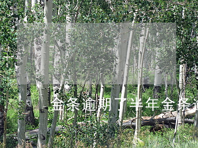 金条逾期了半年（金条逾期否）