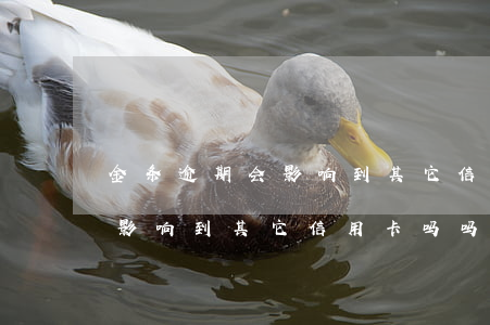 金条逾期会影响到其它信用卡吗(金条逾期会影响到其它信用卡吗吗)