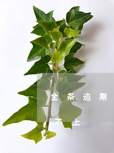 金条逾期催款几年了 金条逾期催款几年了还不上
