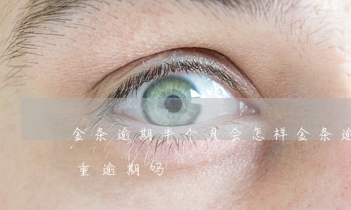 金条逾期半个月会怎样(金条逾期15天算严重逾期吗)