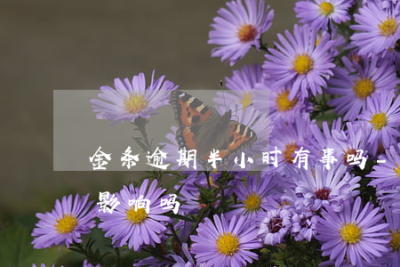金条逾期半小时有事吗-金条逾期俩小时有影响吗
