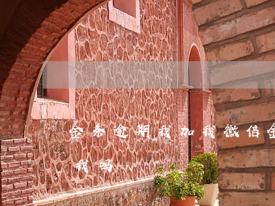 金条逾期我加我微信(金条逾期还了还会来找我吗)