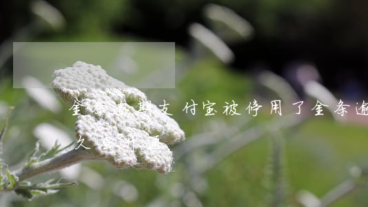 金条逾期支付宝被停用了(金条逾期被停用多久会开通)
