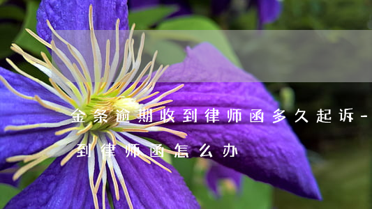 金条逾期收到律师函多久起诉-金条逾期收到律师函怎么办