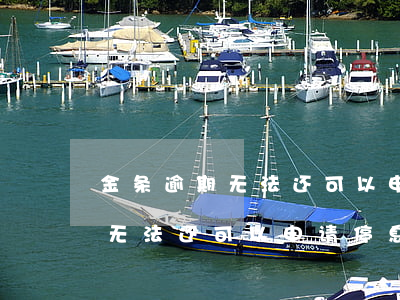 金条逾期无法还可以申请停息吗-金条逾期无法还可以申请停息吗怎么办
