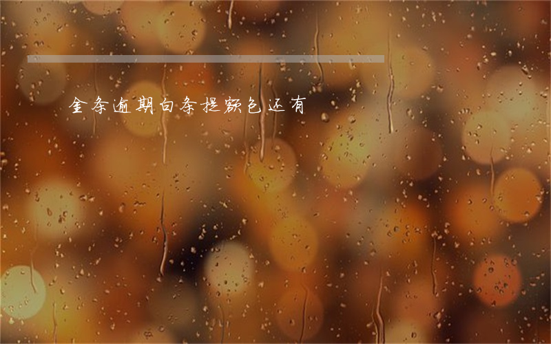 金条逾期白条提额包还有