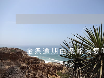 金条逾期白条能恢复吗（金条逾期白条）
