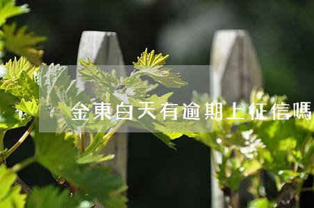 金東白天有逾期上征信嗎