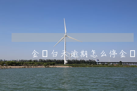 金東白天逾期怎么停(金東白天逾期怎么停)
