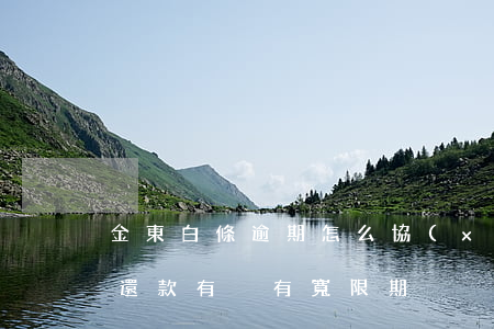 金東白條逾期怎么協(xié)商 京東白條還款有沒有寬限期