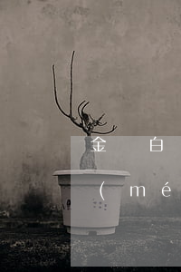 金東白條逾期還款不能用(京東白條還款有沒(méi)有寬限期)