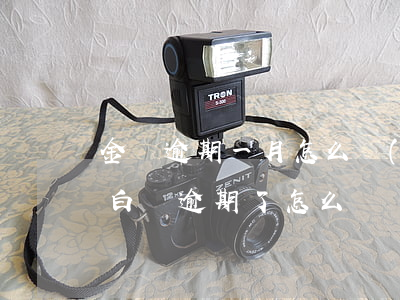 金東逾期一月怎么協(xié)商分期(京東白條逾期了怎么辦)
