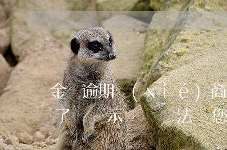 金東逾期協(xié)商還款 金東逾期還清了,還顯示暫時無法為您提供借款服務(wù)