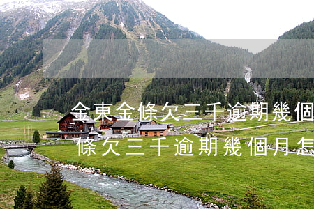 金東金條欠三千逾期幾個月怎么樣-金東金條欠三千逾期幾個月怎么樣了