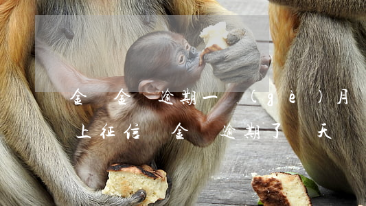 金東金條逾期一個(gè)月會(huì)上征信嗎(金條逾期了兩天,會(huì)上征信嗎?)