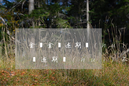 金東金條逾期會(huì)去公司嗎(金東金條逾期會(huì)不會(huì)打電話到家里)