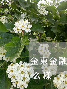 金東金融逾期外訪(金東逾期會(huì)怎么樣)