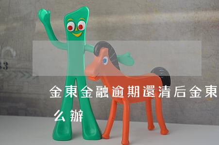 金東金融逾期還清后(金東金融逾期還清后怎么辦)