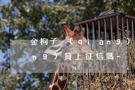 金枸子強(qiáng)制還款這網(wǎng)貸上征信嗎-