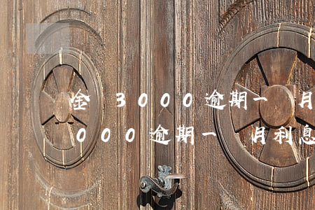 金條3000逾期一個月利息多少-金條3000逾期一個月利息多少錢