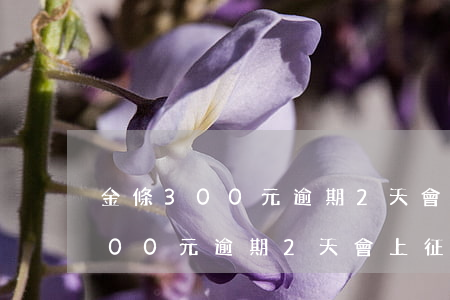 金條300元逾期2天會上征信嗎-金條300元逾期2天會上征信嗎知乎
