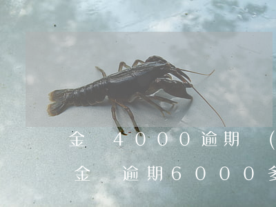 金條4000逾期會(huì)被起訴嗎-金條逾期6000多會(huì)起訴嗎