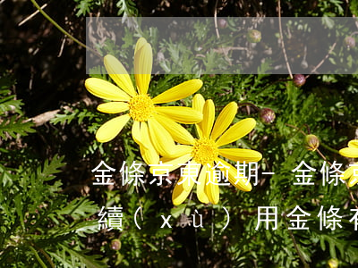 金條京東逾期-金條京東逾期后多久才能繼續(xù)用金條有額度用不了