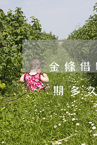金條借唄逾期多長時間恢復(fù)(金條逾期多久恢復(fù)借款)