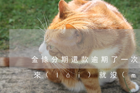 金條分期還款逾期了一次(金條分期逾期了本來(lái)就沒(méi)錢(qián)還要全部還完)