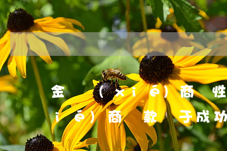 金條協(xié)商個性化分期(金條協(xié)商還款終于成功了)
