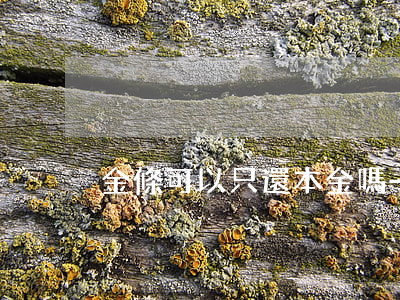 金條可以只還本金嗎-金條可以全部借完嗎
