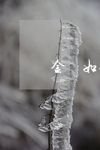 金條如何個(gè)性化分期