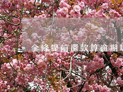 金條提前還款算逾期嗎(金條還款可以推遲嗎)