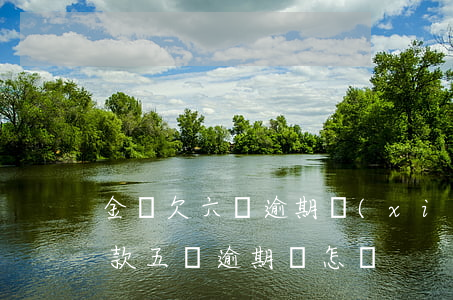 金條欠六萬逾期協(xié)商還款(金條欠款五萬逾期會怎樣)