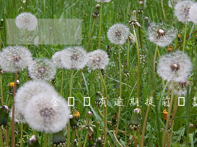 金條沒有逾期提前還款(金條還款可以推遲嗎)
