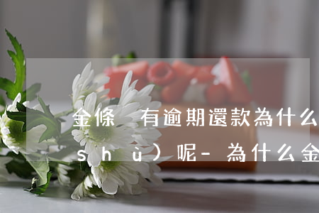 金條沒有逾期還款為什么出負(fù)數(shù)呢-為什么金條沒有逾期還款了不能借出來