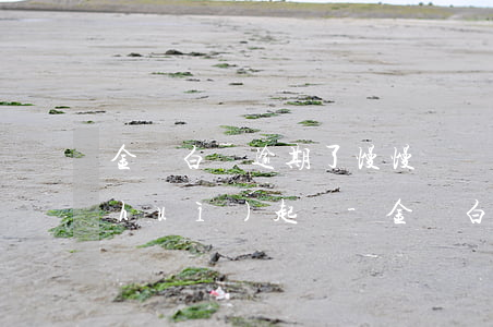 金條白條逾期了慢慢還會(huì)不會(huì)起訴-金條白條逾期了慢慢還會(huì)不會(huì)起訴我