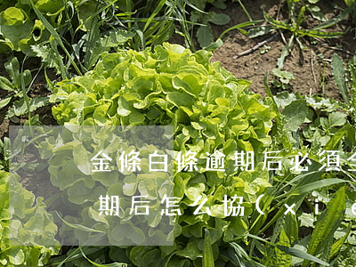 金條白條逾期后必須全額還款嗎（金條白條逾期后怎么協(xié)商）