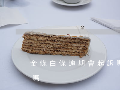 金條白條逾期會起訴嗎(金條白條逾期會起訴嗎)