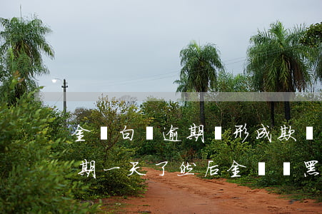 金條白條逾期說形成欺詐案-白條不小心逾期一天了,然后金條變黑白了