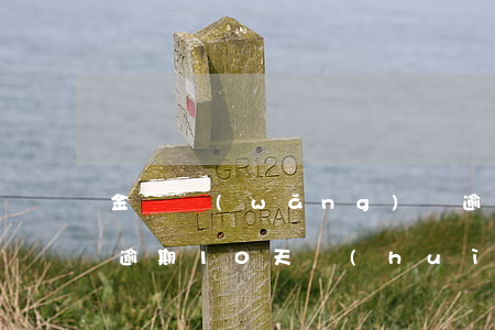 金條網(wǎng)貸逾期付多高利息(金條逾期10天會(huì)怎么樣)