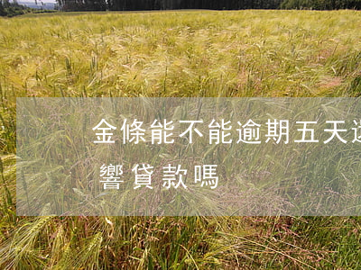 金條能不能逾期五天還-金條逾期5天會影響貸款嗎