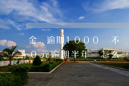 金條逾期1000會不會被起訴(金條2000元逾期半年會怎么樣)