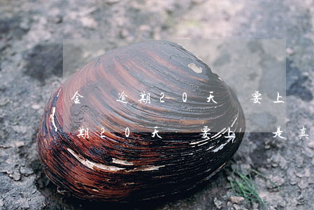 金條逾期20天說要上門是真的嗎-金條逾期20天說要上門是真的嗎嗎