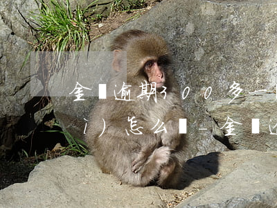 金條逾期300多一個(gè)月會(huì)怎么樣-金條逾期300多一個(gè)月會(huì)怎么樣嗎