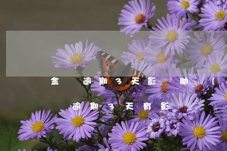 金條逾期3天影響助學(xué)貸款嗎(金條逾期3天有影響嗎)